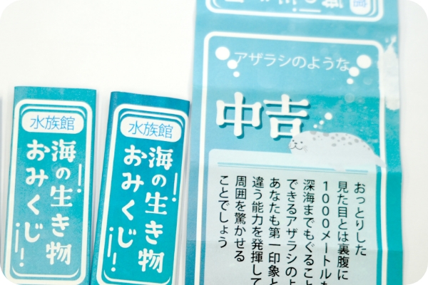 海の生き物おみくじ